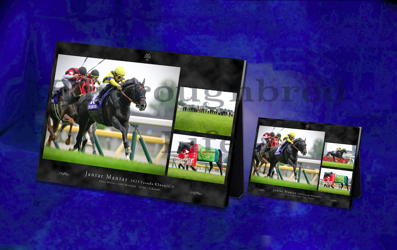 ジャンタルマンタル | サラブレッドライフ
