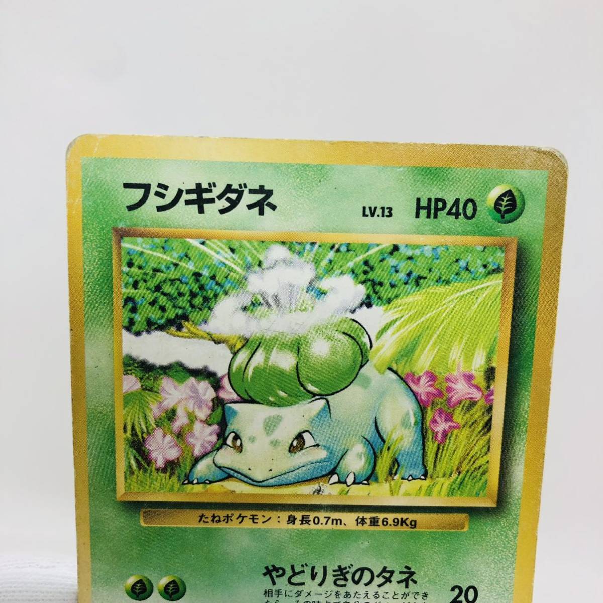 ポケモンカード 旧裏面 旧裏 マークなし 初版 フシギダネ Pokemon