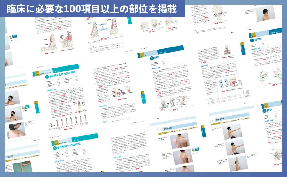 1日3分自触習慣！触診ドリル 上肢・頚部編