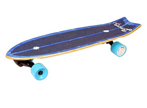 電動スケボーのおすすめ人気ランキング【2026年3月】 | マイベスト