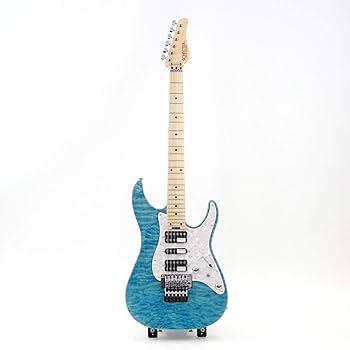 Amazon | SCHECTER SD-2-24-AL/M AQB エレキギター シェクター