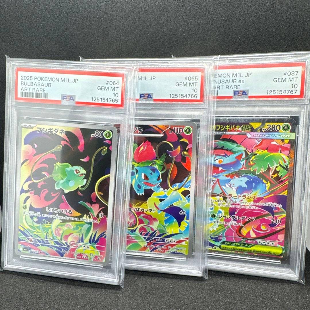 フシギダネ　進化ライン　PSA10 3連番 PSA10 3連番 フシギダネ 進化ライン - メルカリ