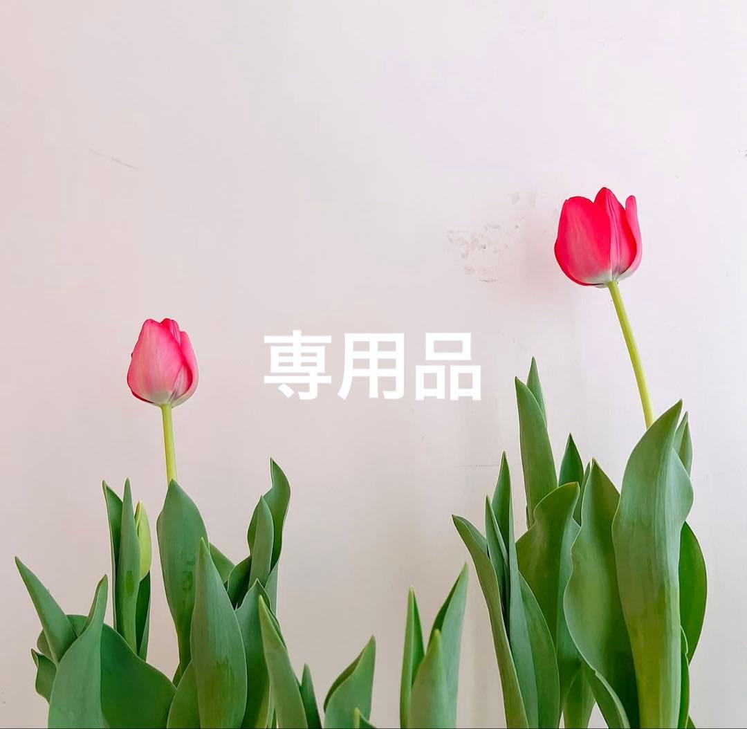 ハイドロコンプレックス　バイアル　美容液　スピケア　vos ハイドラ