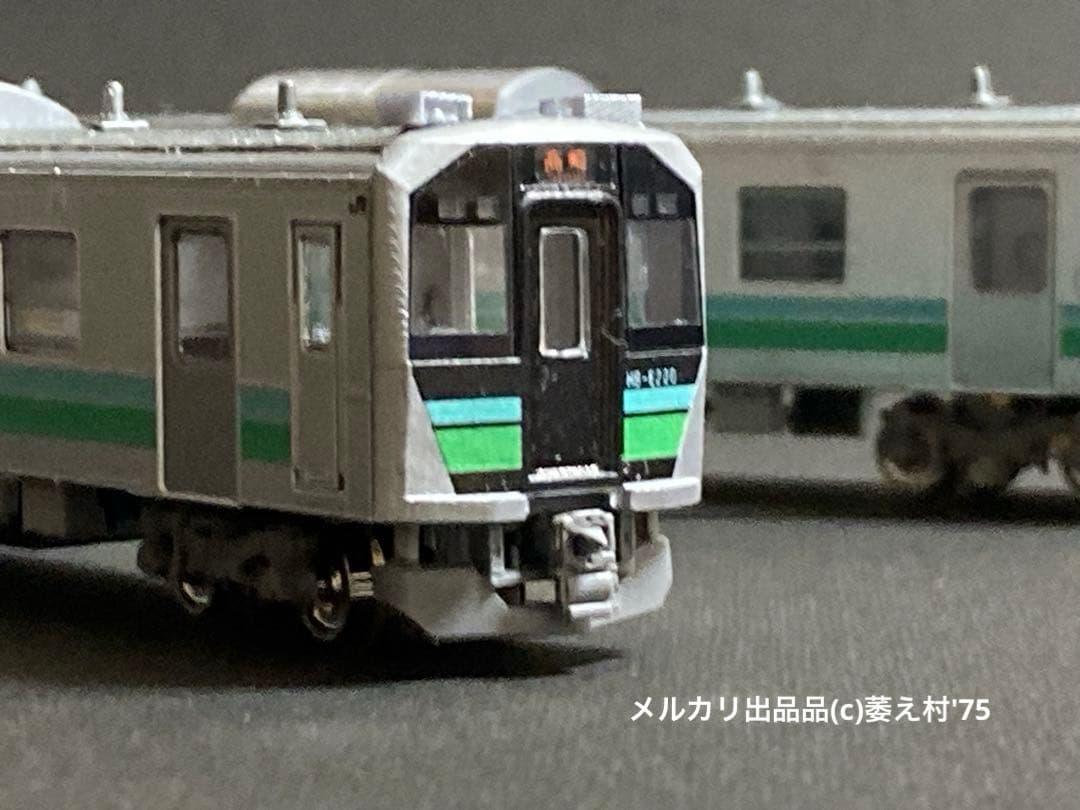 特製組立品　Nゲージ　HB-E220 暖地向け(八高線)2両セット