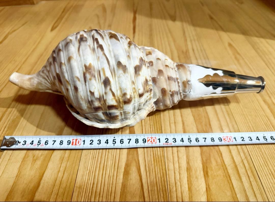 修験道法螺貝36㎝ 山伏 密教 魔除け 熊よけ❣️ホラガイ ほら貝 - メルカリ